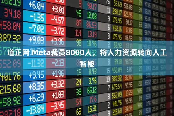 道正网 Meta裁员8000人，将人力资源转向人工智能