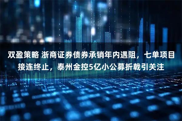 双盈策略 浙商证券债券承销年内遇阻，七单项目接连终止，泰州金控5亿小公募折戟引关注
