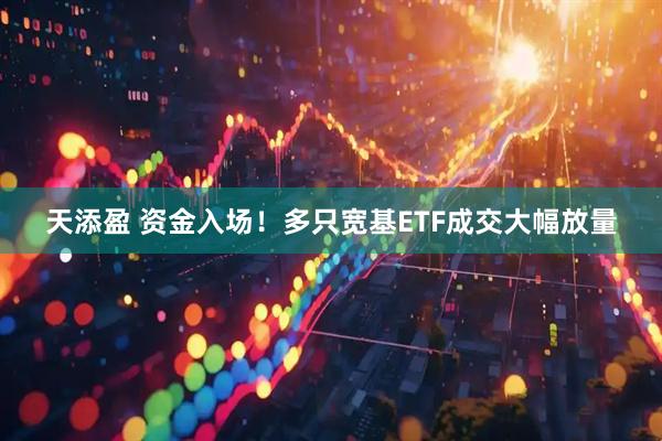 天添盈 资金入场！多只宽基ETF成交大幅放量